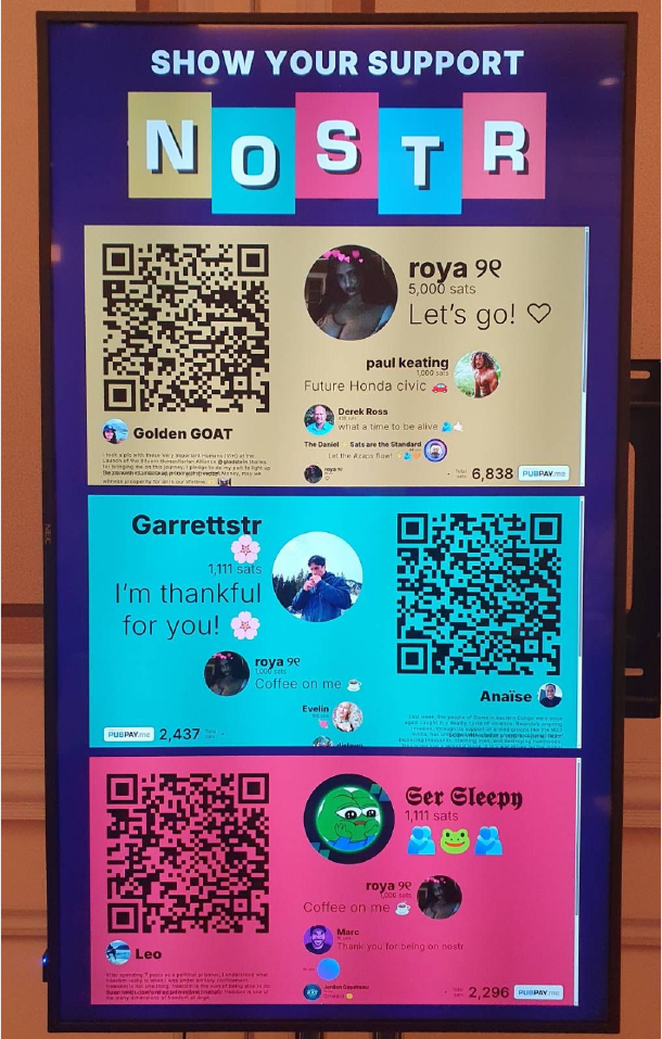 PubPay Live audience zapping
